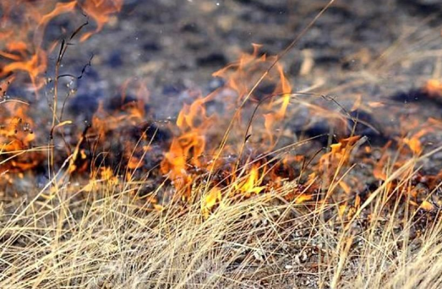 Сухая трава горит на улице Донецкой в Оренбурге